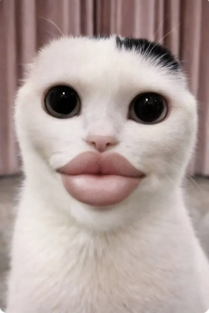 Goofy ahh cat meme with oversized lips and wide eyes close-up