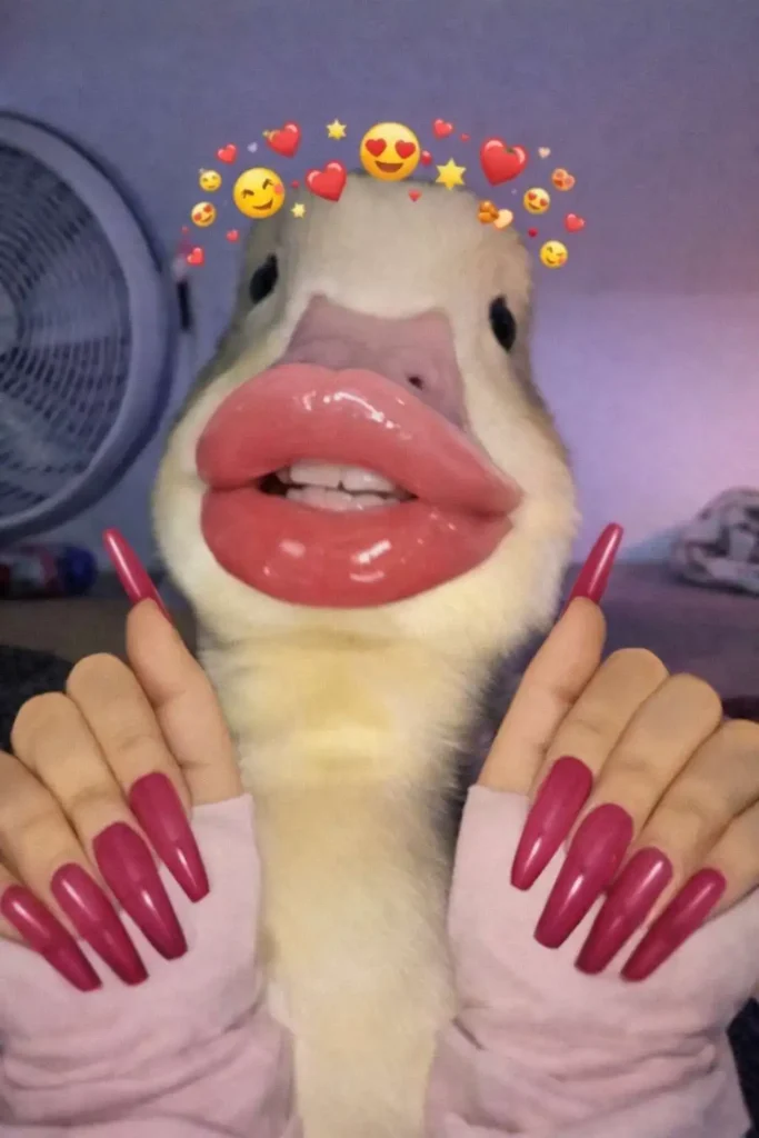 Goofy ahh duck meme wallpaper with lipstick, long nails, and heart filter