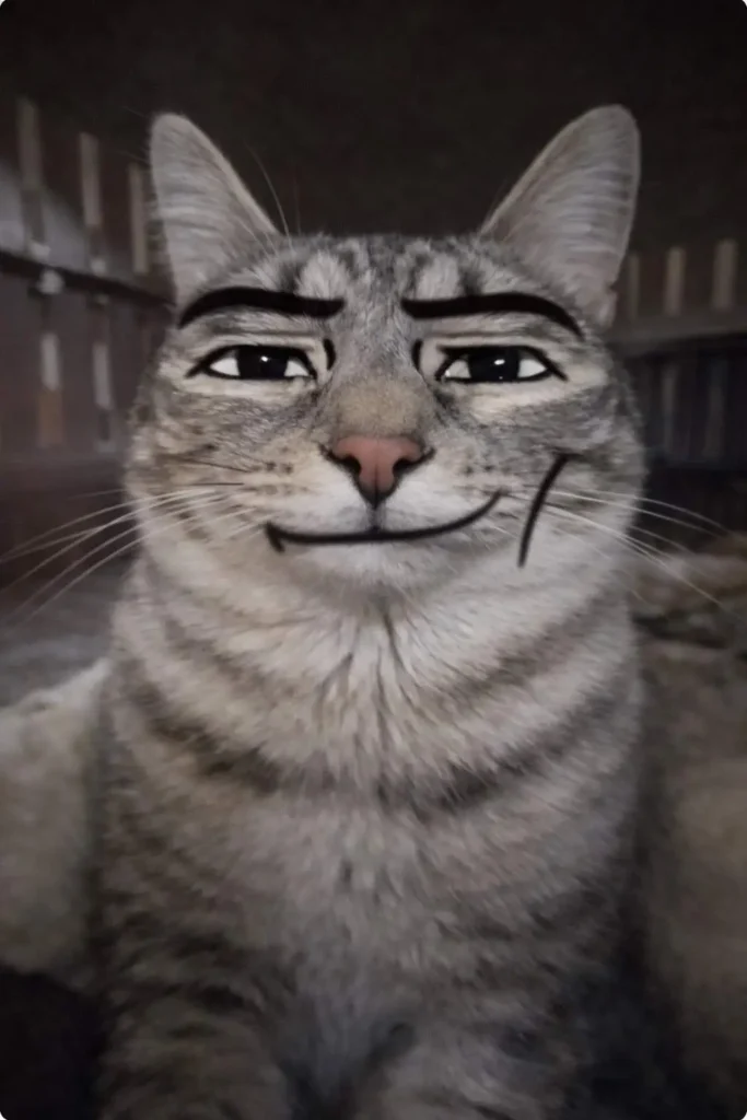 Grey tabby cat with drawn cartoon eyebrows and smile, goofy ahh edited cat meme