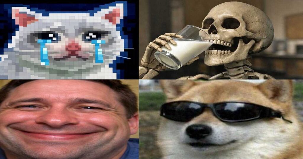 Best Goofy Ahh Pfp Ideas for Discord